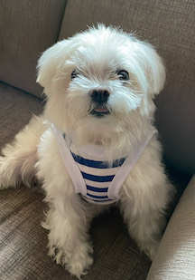 384AFF93-FBD5-4808-980F-70730D57C4CF